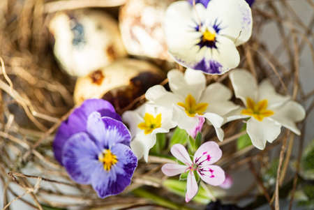 Easter nest with spring flowersの写真素材