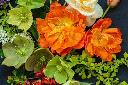 spring flowers on the black backgroundの写真素材