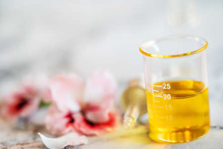 Aloe with Massage Oilの写真素材