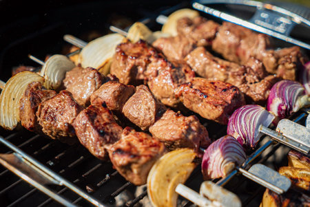 grilled kebab with red onion