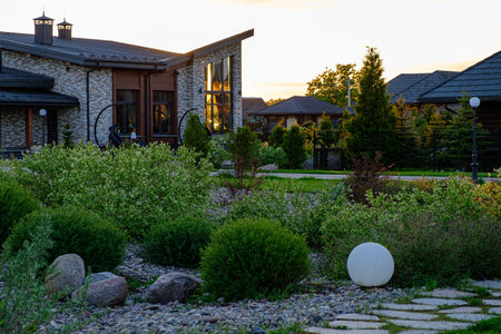 Green backyard with evergreens and a cobbled relax place