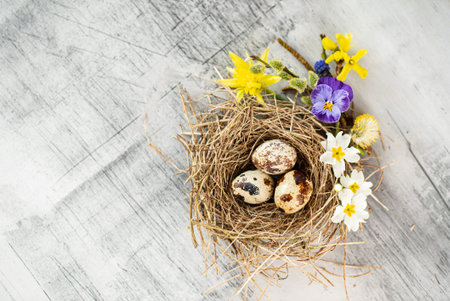 Easter nest with spring flowers