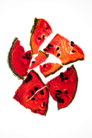 dried watermelon on the white background