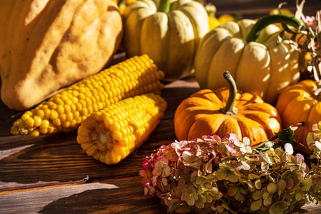 Pumpkins on dark wooden background. Halloween harvesting thanksgiving concept