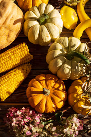 Pumpkins on dark wooden background. Halloween harvesting thanksgiving conceptの写真素材