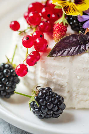 Vegan country cheese dessert with yogurt, berries and red currants.の写真素材