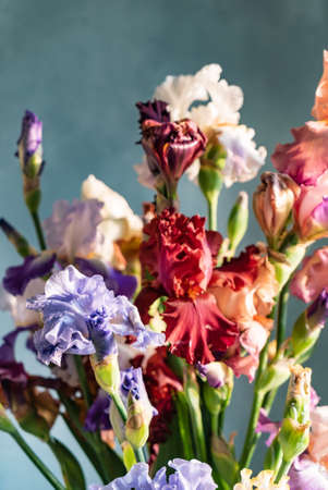 Bunch of coloful fresh irisesの写真素材