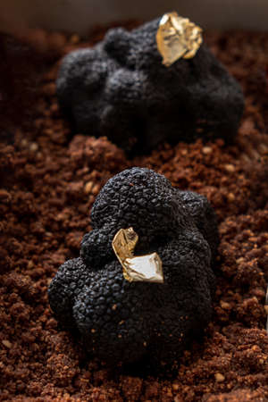chocolate dessert with black truffleの写真素材