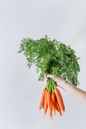 fresh carrots in the handsの写真素材