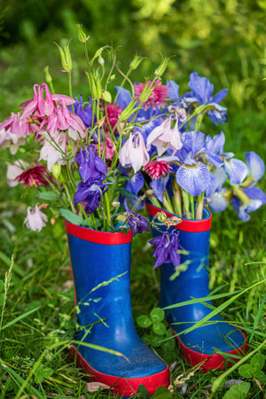 spring flowers in the boatsの写真素材