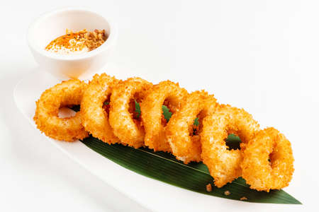 Deep Fried Calamari Rings with sauceの写真素材