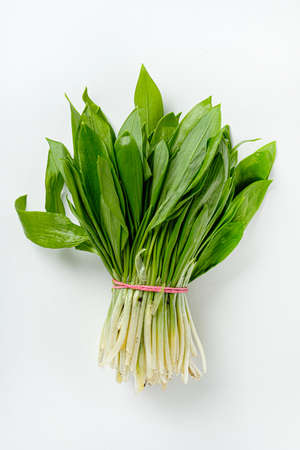 Bunch of young fresh wild garlic.の写真素材