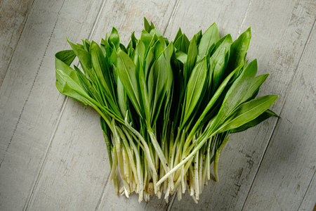 Bunch of young fresh wild garlic.