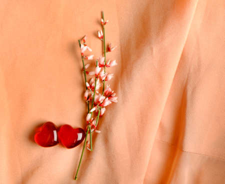 pink flowers and red hearts on silk backgroundの写真素材