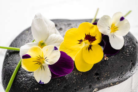 pansy flowers on the whiteの写真素材
