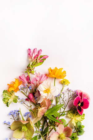 spring flowers on the white backgroundの写真素材
