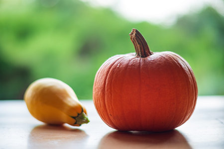 fresh pumpkins in the garden