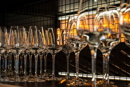 Different empty clean glasses on counter in bar