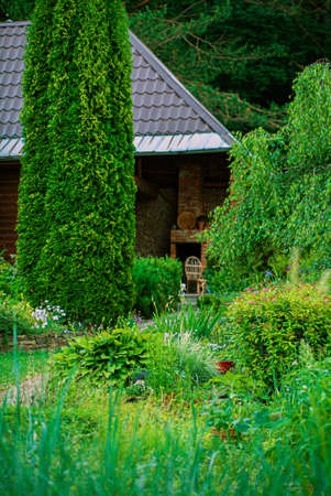 Summer garden with lawn and flower gardenの写真素材