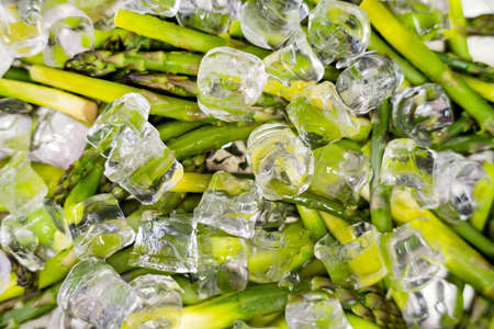 organic asparagus on the ice cubesの写真素材
