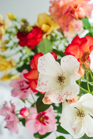 nice rose in the vaseの写真素材