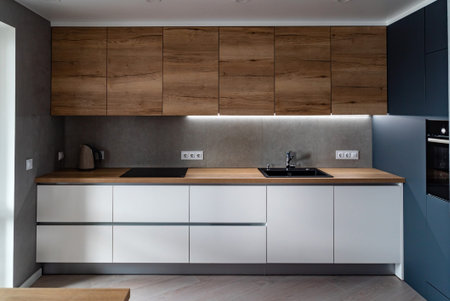 Kitchen interior with wooden cabinet
