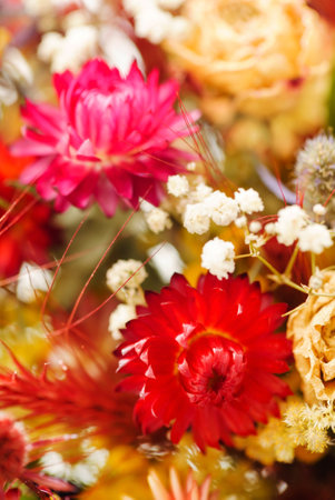 Beautiful elegant dried flower bouquet, closeup viewの写真素材