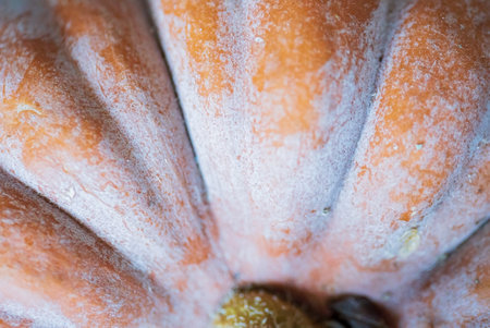Black Futsu pumpkin texture, macro shootの写真素材