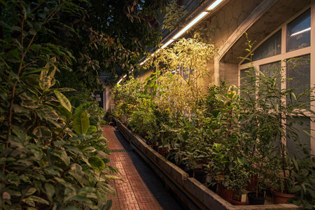 different plants in the greenhouseの写真素材