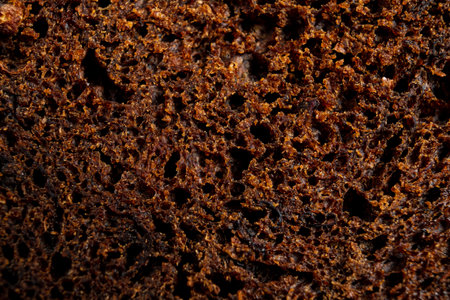 rye bread background on the darkの写真素材