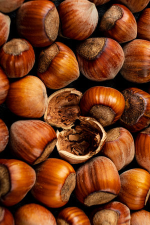 hazelnuts on the dark backgroundの写真素材