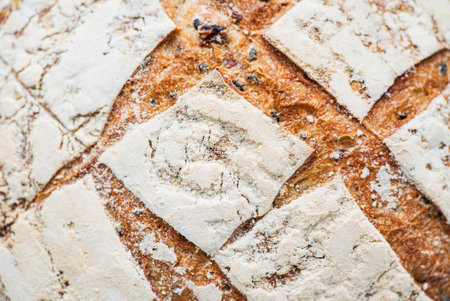 fresh bread on the white backgroundの写真素材
