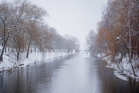 winter landscape of trees on the bank of the river in the park