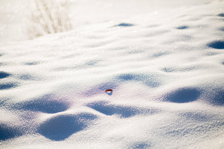 Snow surface - abstract natural background