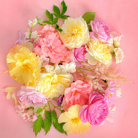 summer flowes and leaves, top viewの写真素材