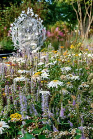 summer garden with different plantsの写真素材