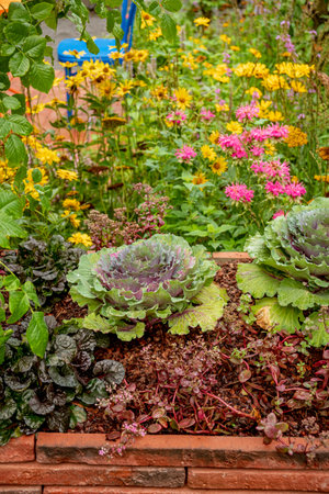permaculture garden with different plants