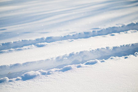 snow background in the park