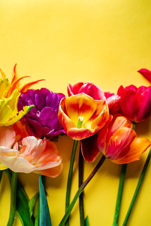 nice spring flowers - colorful tulipsの写真素材