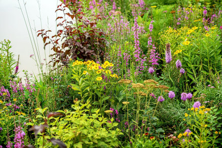 ornamental garden with nice flowers
