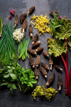 different foraging  vegetables and herbs