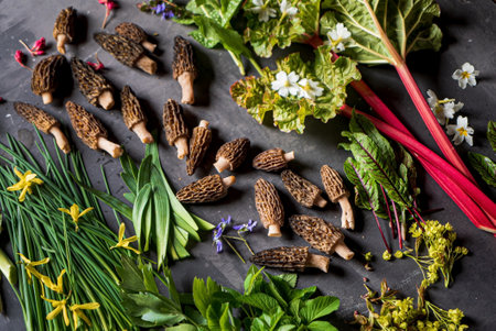 different foraging  vegetables and herbsの写真素材
