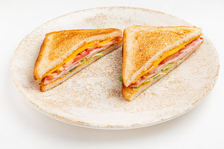 sandwch on the grey plateの写真素材