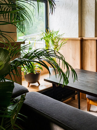 differents plants in the cafe