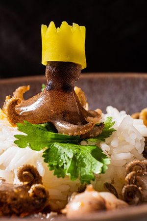 Octopus with rice on a dark background. Selective focus.