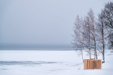 winter landscape with snow near lake