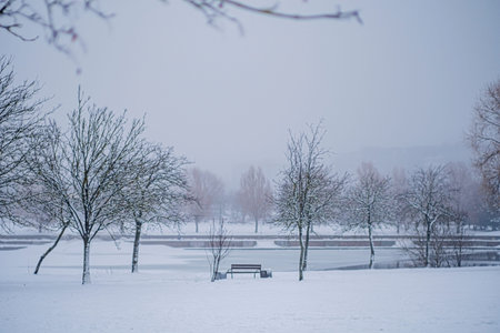 winter landscape in the parkの写真素材