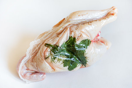 raw chicken for the soupの写真素材