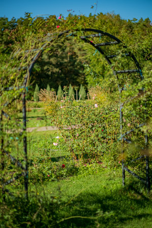 The arch of the entrance to the city parkの写真素材