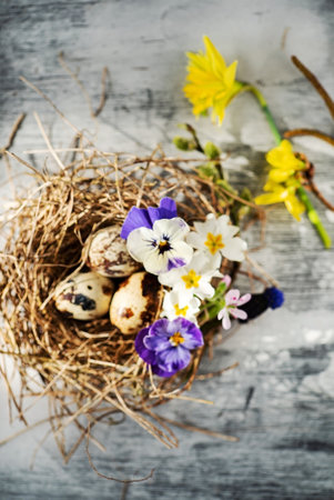 This delightful arrangement showcases a nest filled with colorful spring flowers and quail eggs, evoking the joyful spirit of Easter amidst a rustic woodland setting.の写真素材